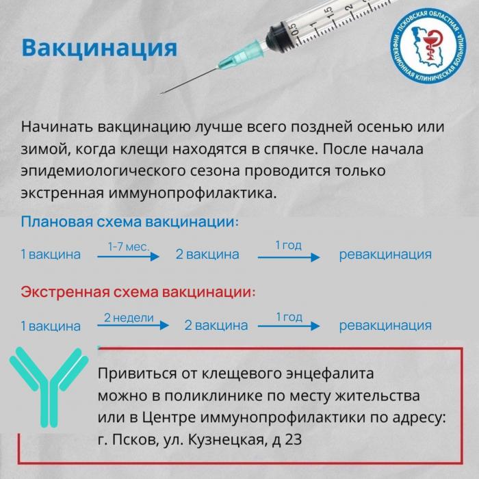 Что делать при укусе клеща