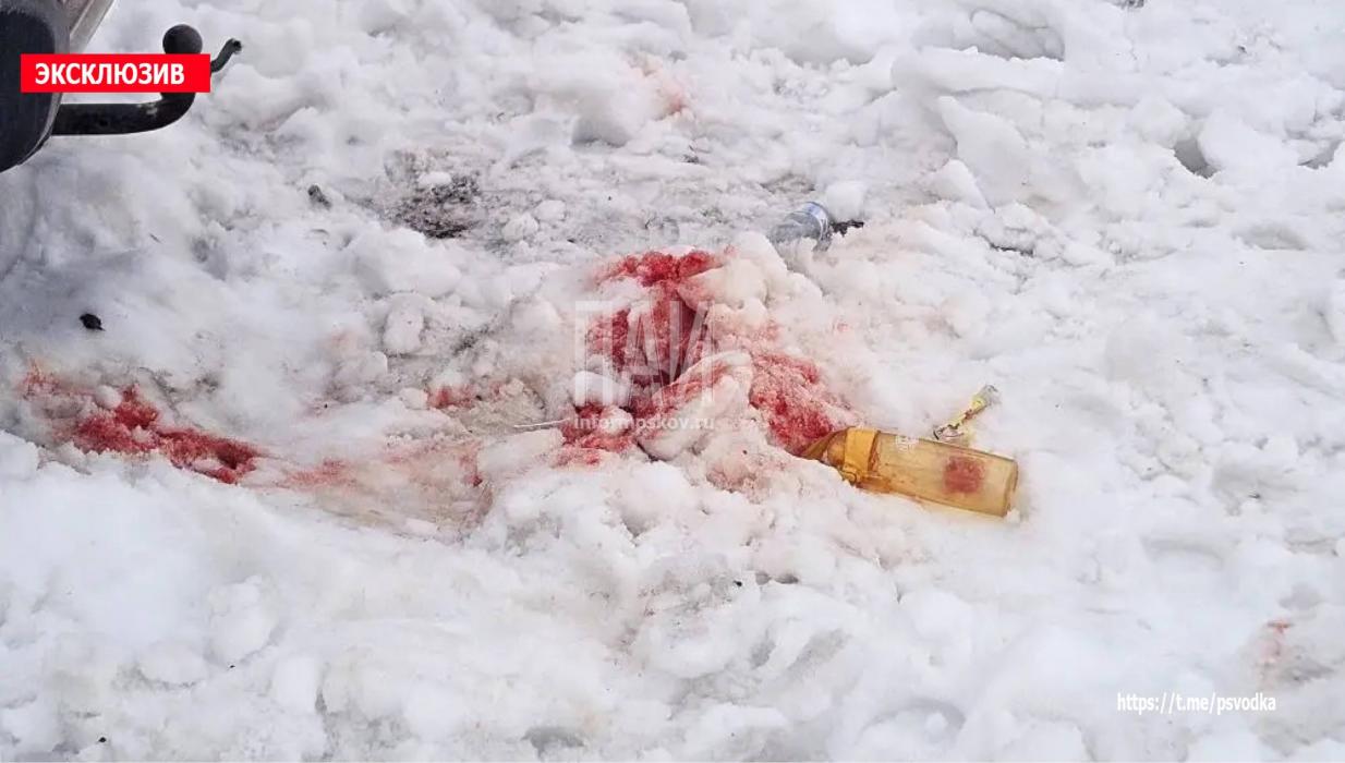 Маленького ребёнка насмерть сбили в Великих Луках