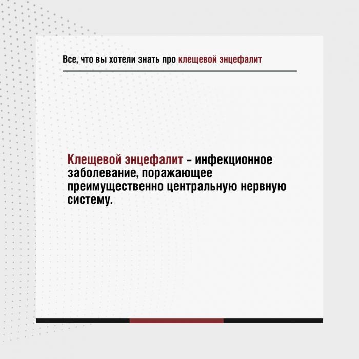 Роспотребнадзор предупредил жителей Псковской области об активизации клещей