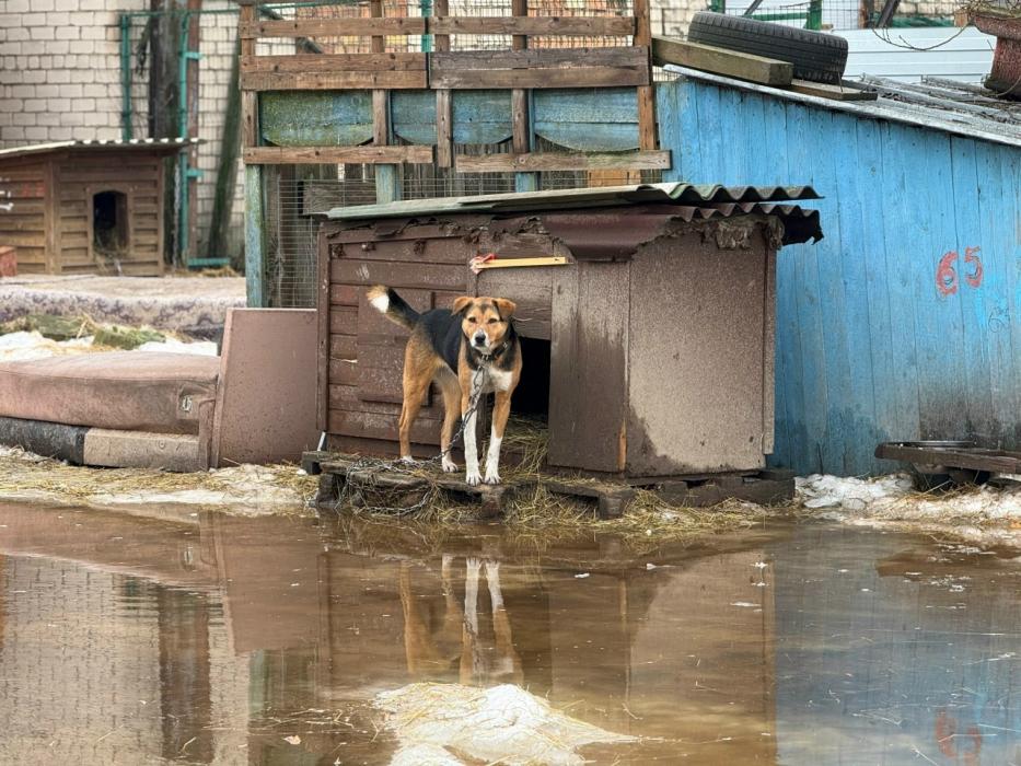ЧП в приюте 