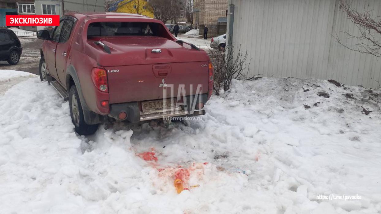 Маленького ребёнка насмерть сбили в Великих Луках