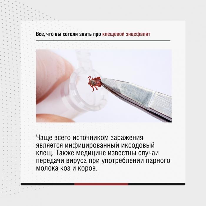 Роспотребнадзор предупредил жителей Псковской области об активизации клещей