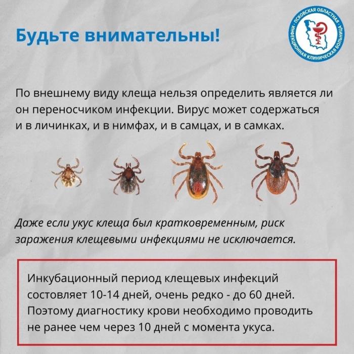 Что делать при укусе клеща