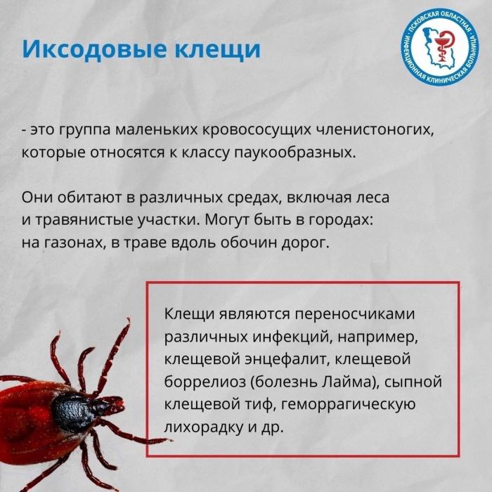 Что делать при укусе клеща