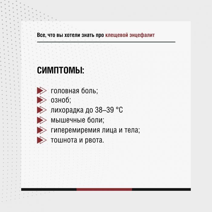 Роспотребнадзор предупредил жителей Псковской области об активизации клещей