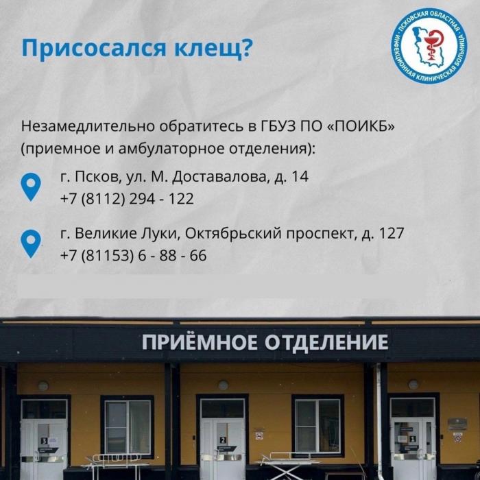 Что делать при укусе клеща