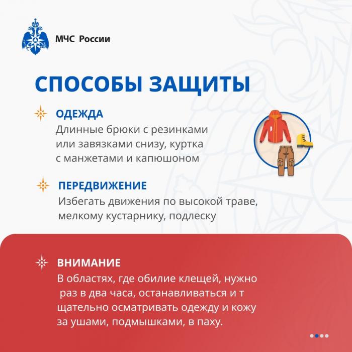 Как защититься от клеща