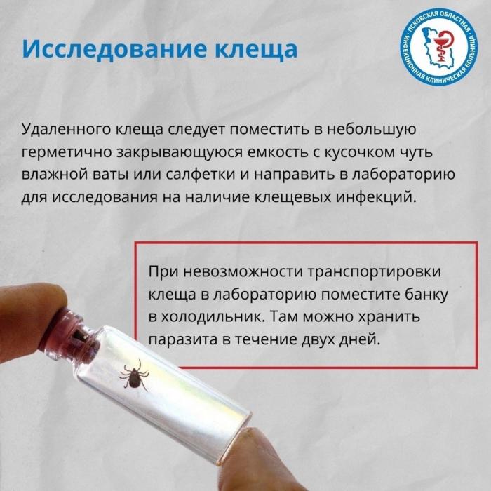 Что делать при укусе клеща