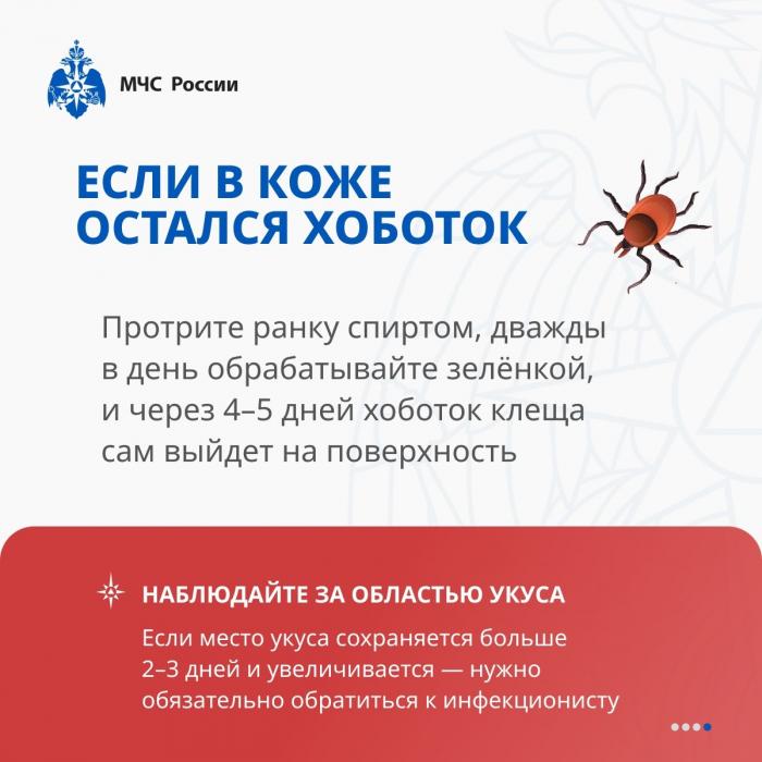 Как защититься от клеща