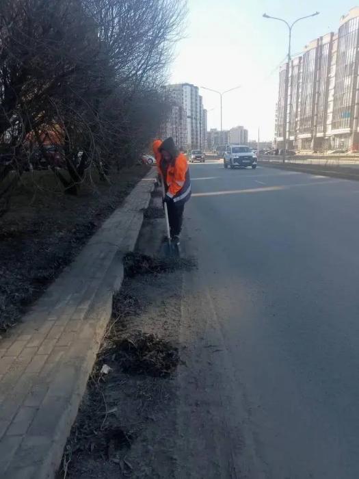 Ежедневно коммунальные службы убирают улицы и парки Пскова 