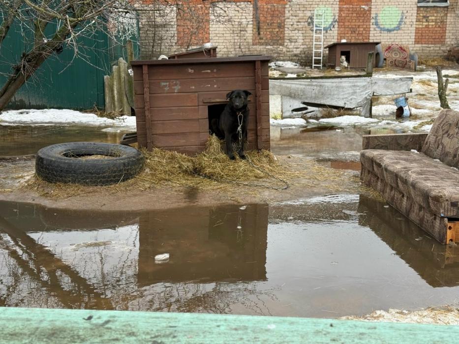 ЧП в приюте 