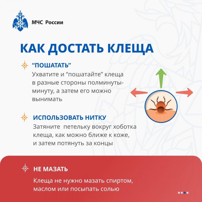 Как защититься от клеща