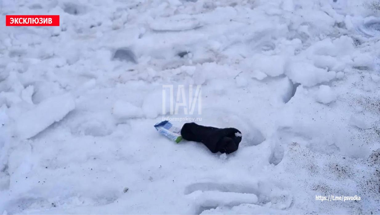 Маленького ребёнка насмерть сбили в Великих Луках