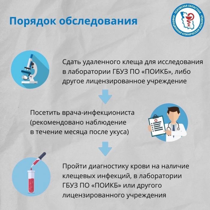 Что делать при укусе клеща