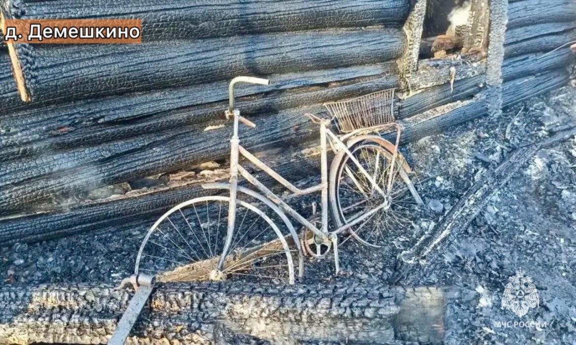 22 пожара произошло в Псковской области 1 апреля