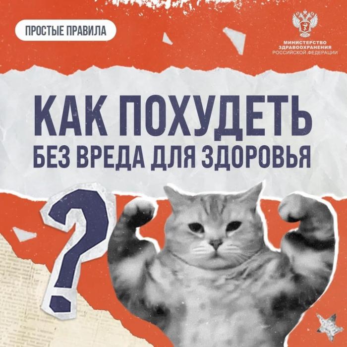 Как похудеть без вреда для здоровья 