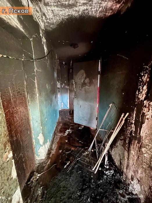 Четыре пожара ликвидировали в Псковской области 9 апреля