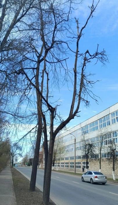 На улице Вокзальной благоустроят тротуары и установят уличное освещение