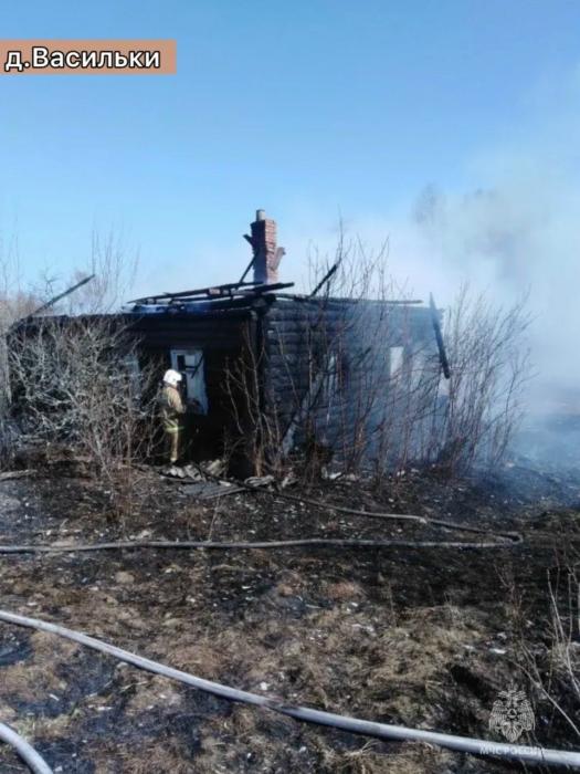 22 пожара произошло в Псковской области 1 апреля