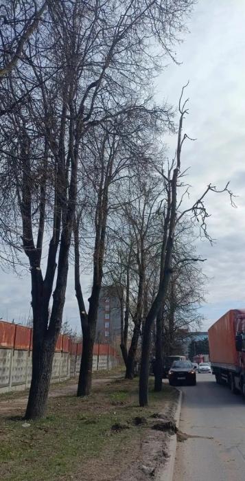 На улице Вокзальной благоустроят тротуары и установят уличное освещение