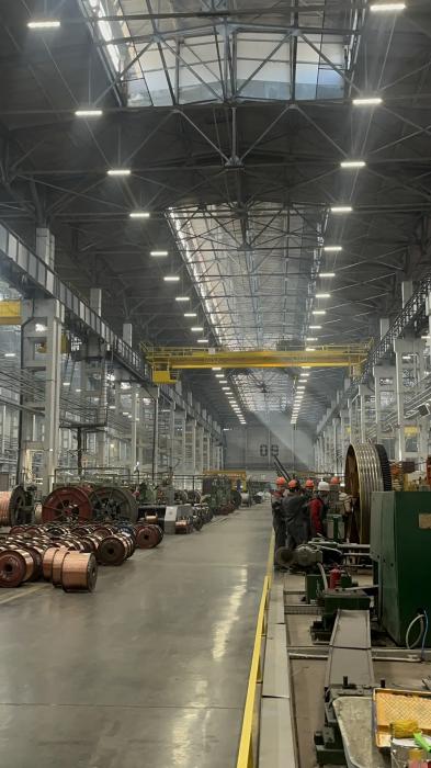 Акция «Неделя без турникетов» проходит в Псковской области