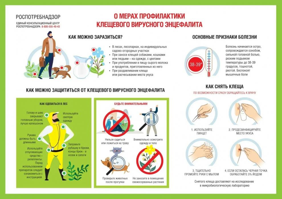 Псковичи смогут получить консультации о клещевых инфекциях по горячей линии
