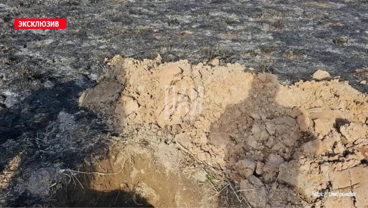 Шесть противотанковых гранатомётов обнаружили в Печорском районе