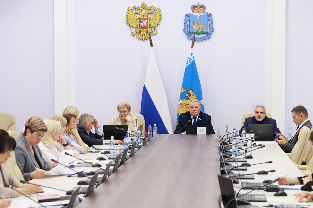 Финансирование здравоохранения и отчёт детского правозащитника обсудил социальный комитет