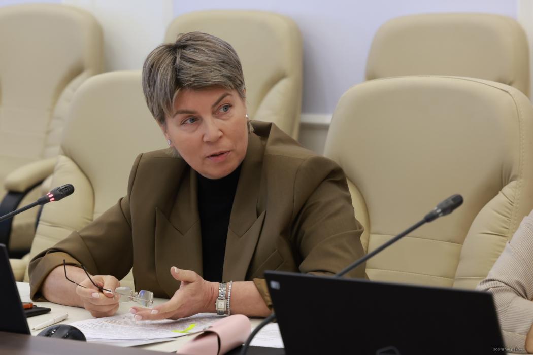 Финансирование здравоохранения и отчёт детского правозащитника обсудил социальный комитет