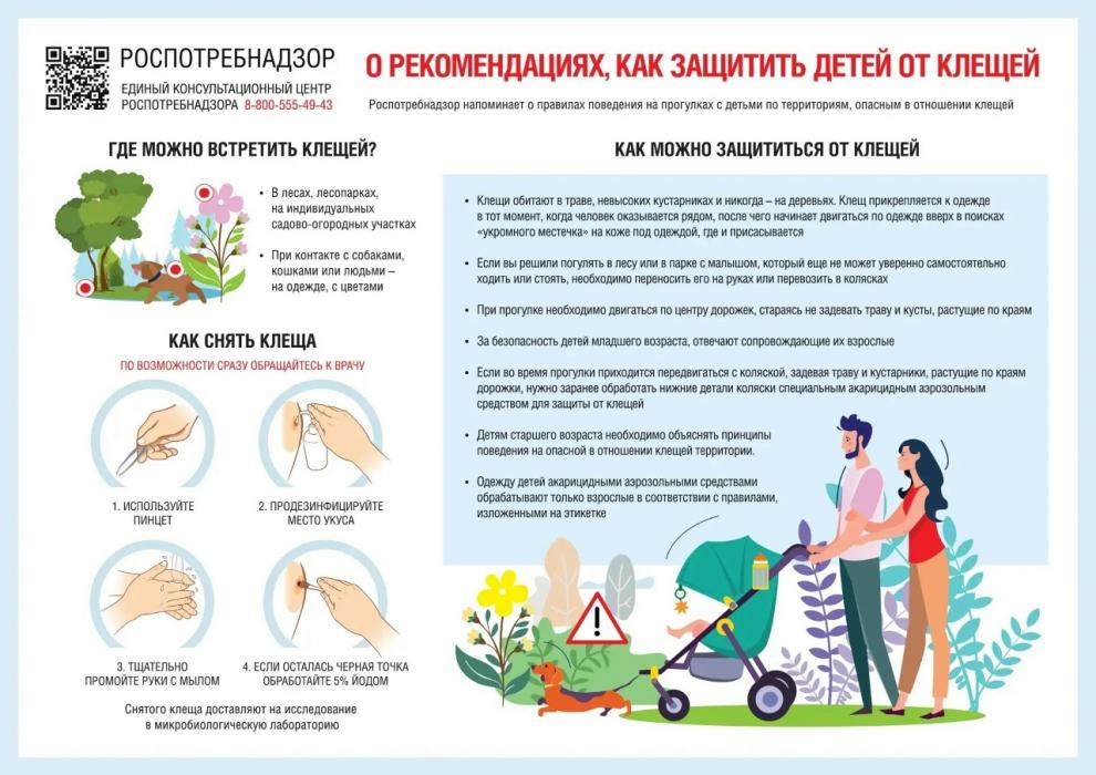 Псковичи смогут получить консультации о клещевых инфекциях по горячей линии
