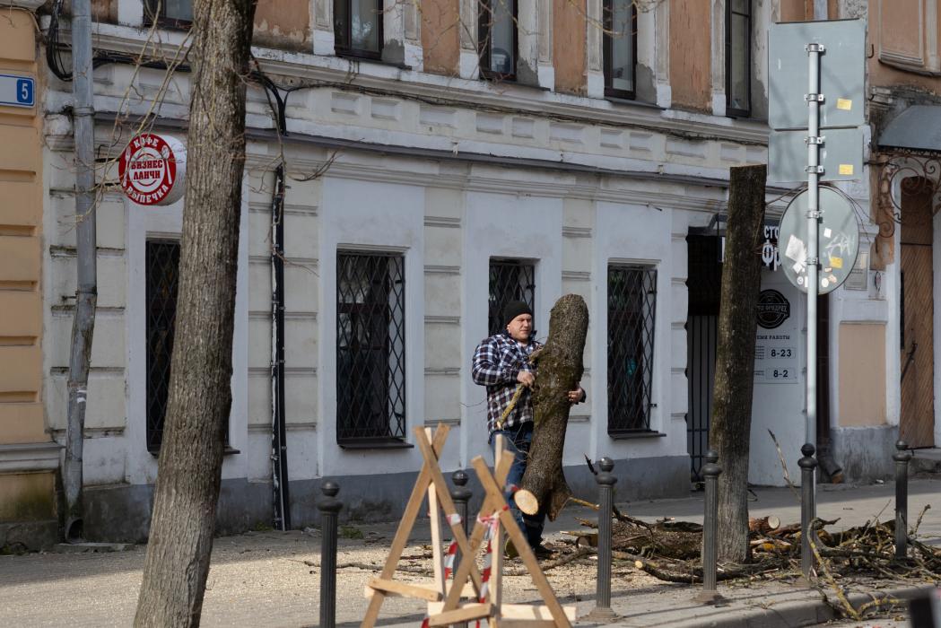 Спил деревьев на улице Ленина 13 апреля 