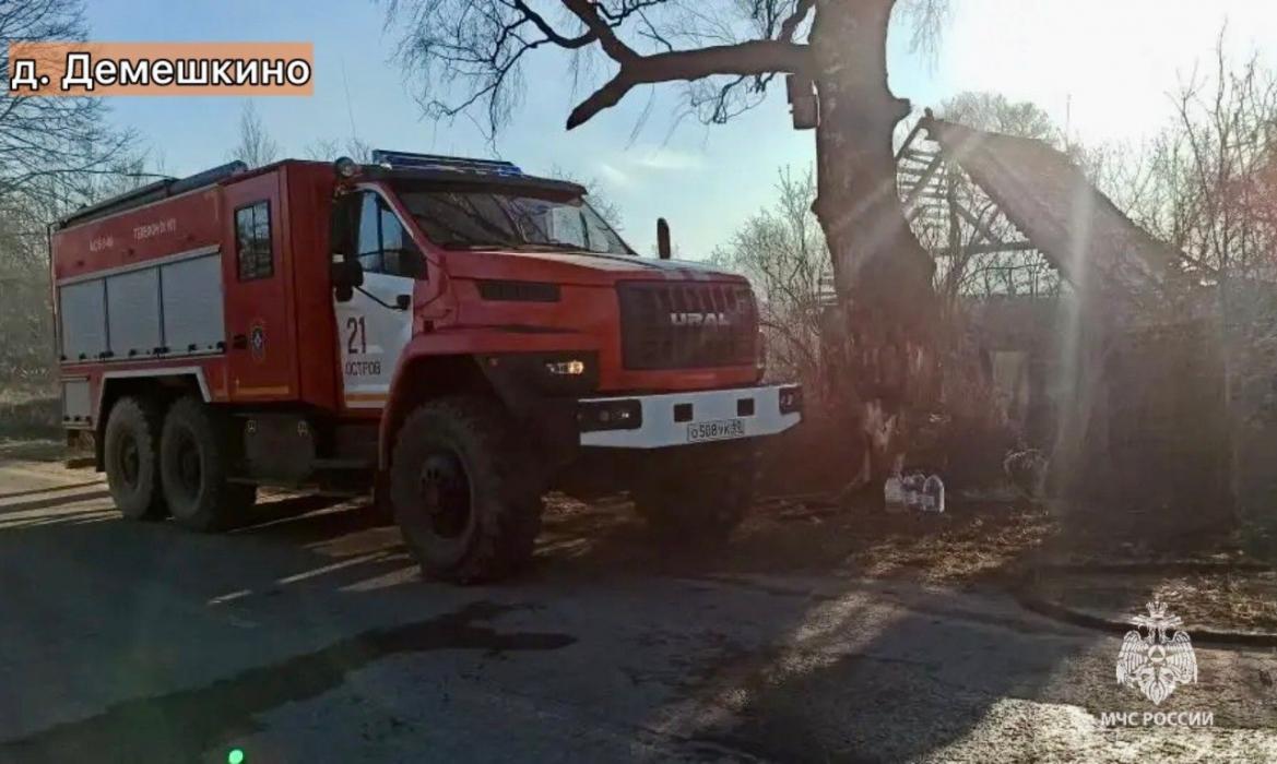 22 пожара произошло в Псковской области 1 апреля