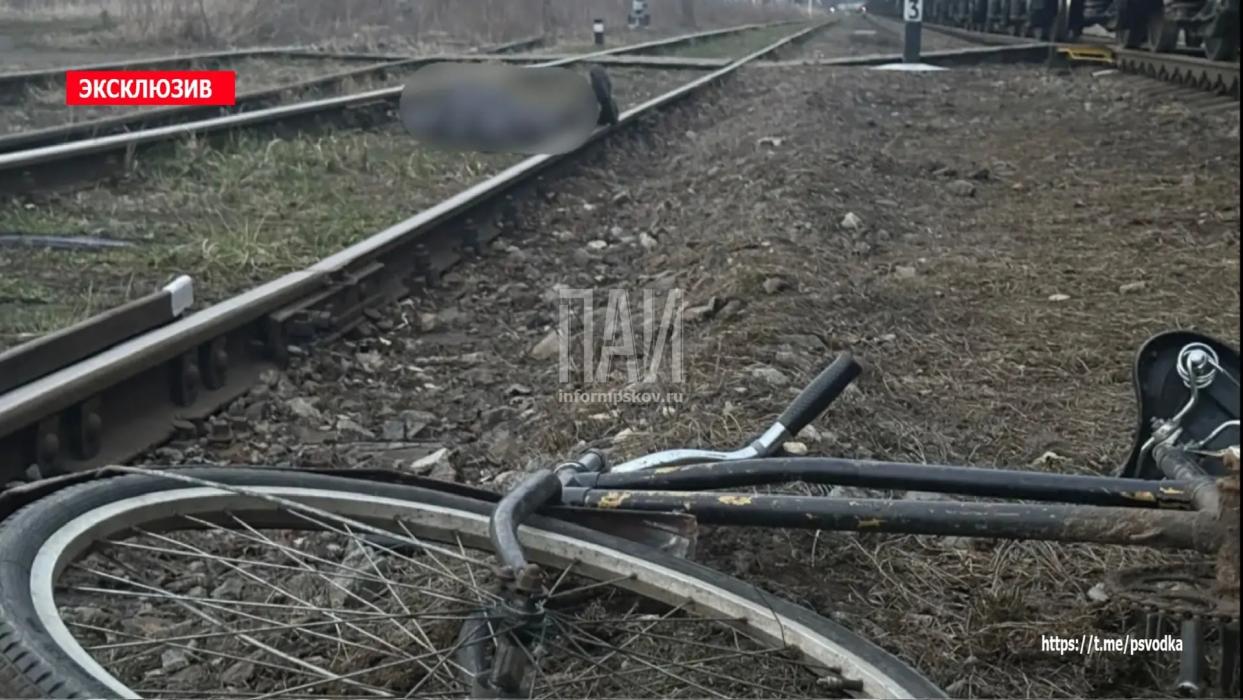 44-летний мужчина на велосипеде попал под грузовой поезд в Плюссе