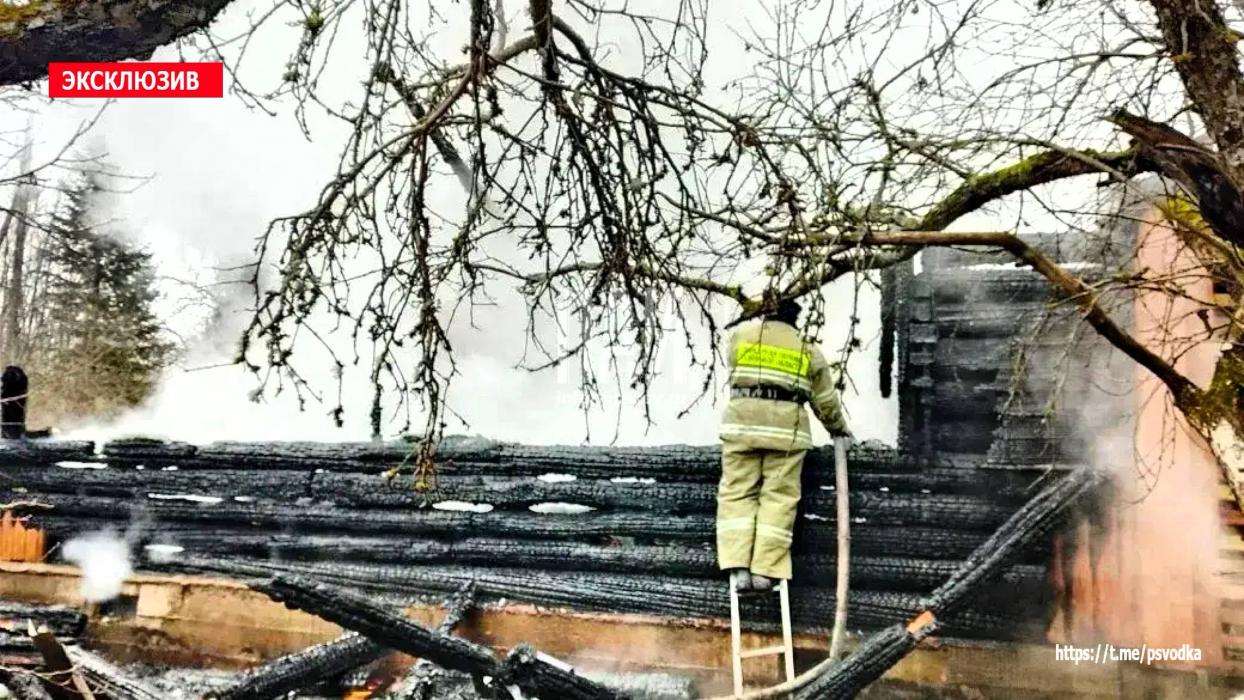 90-летний мужчина погиб при пожаре в Плюсском районе