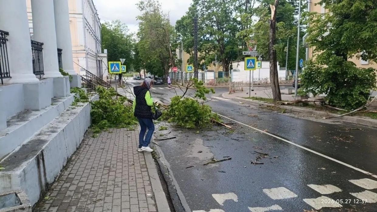 Усиленный ветер с ливнем бушует по Пскову
