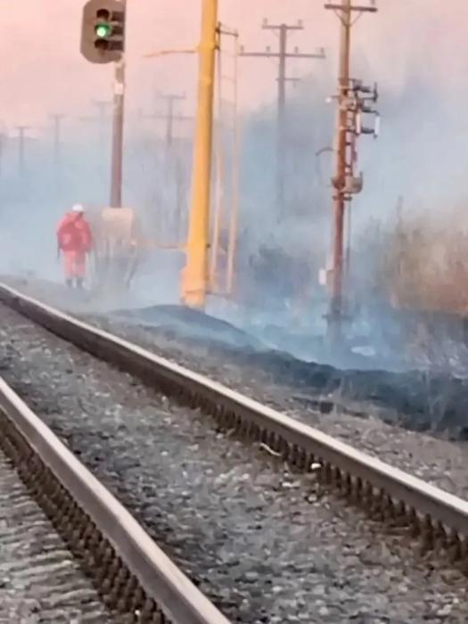 Крупный ландшафтный пожар под Псковом ликвидировали сотрудники МЧС и добровольцы «Дружины»