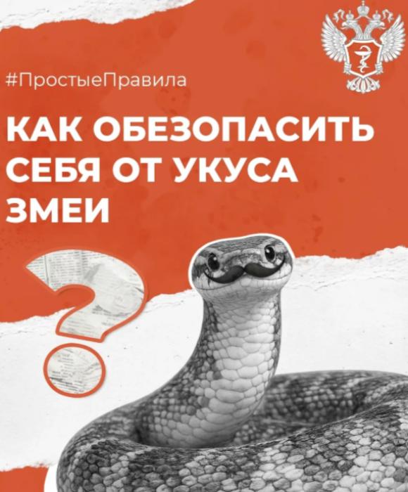 Что делать, если укусила змея
