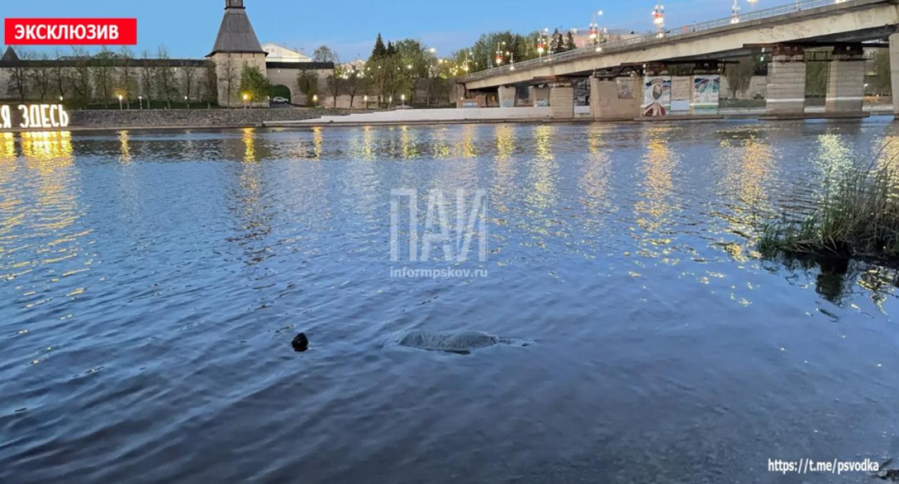 В Пскове в реке обнаружили тело пенсионерки