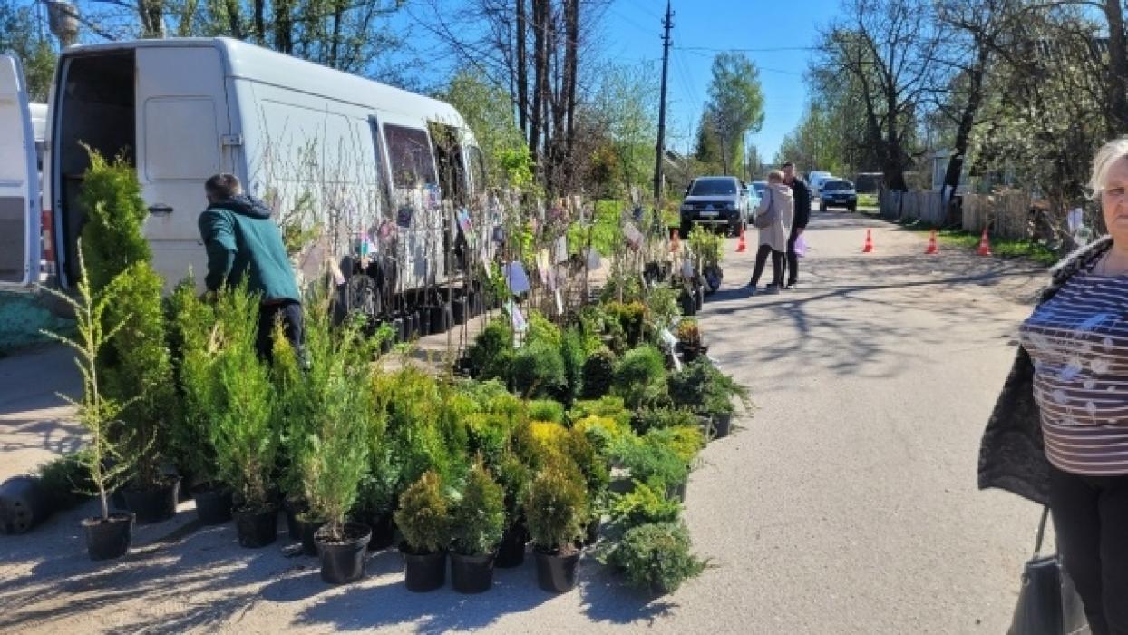 Весенняя сельскохозяйственная ярмарка прошла в Новоржеве