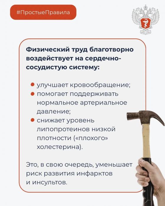 Как умственный и физический труд влияют на долголетие