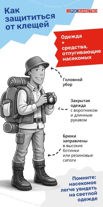  Сезон клещей открыт: важные правила, которые нужно знать каждому