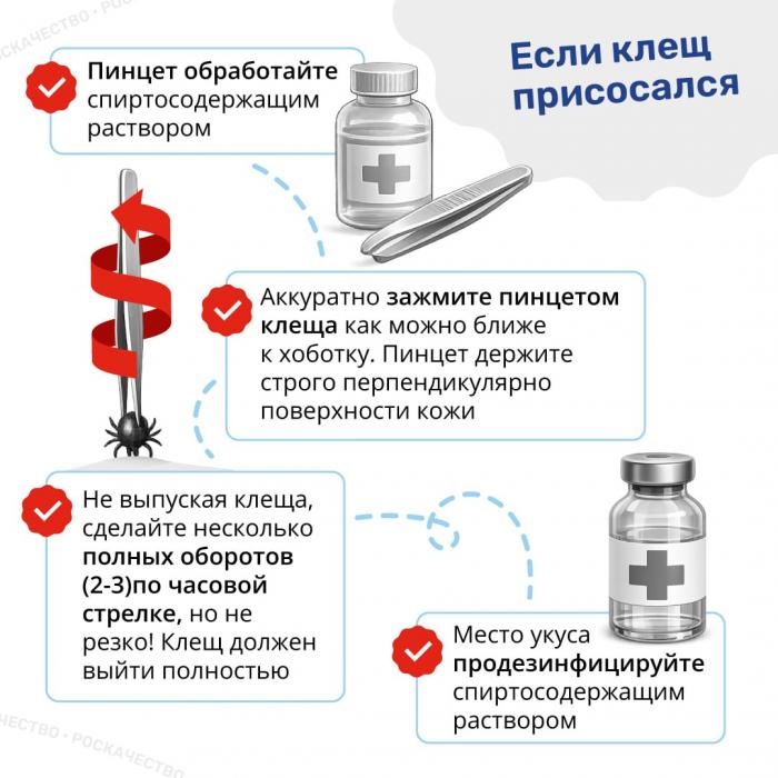  Сезон клещей открыт: важные правила, которые нужно знать каждому