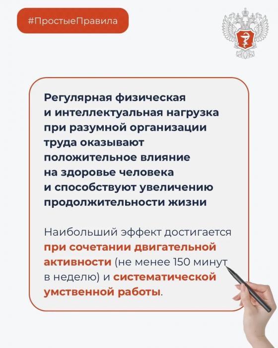 Как умственный и физический труд влияют на долголетие