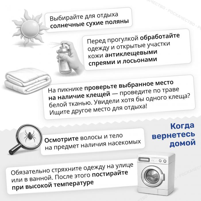  Сезон клещей открыт: важные правила, которые нужно знать каждому
