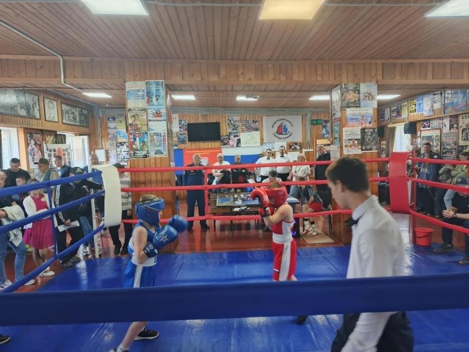 Первенство по боксу прошло в Пскове при поддержке ЕР 