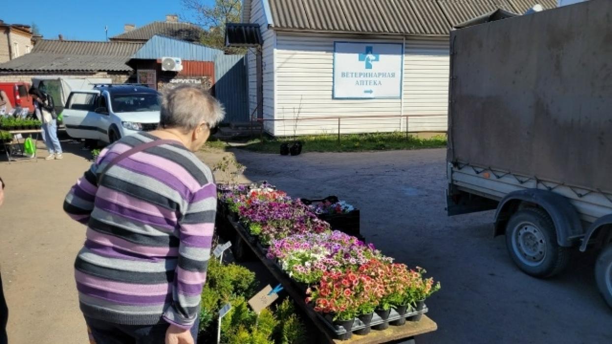 Весенняя сельскохозяйственная ярмарка прошла в Новоржеве