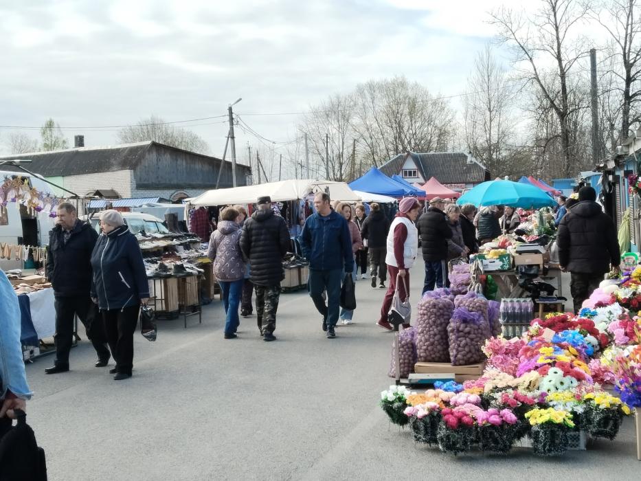 Ярмарка в Стругах Красных