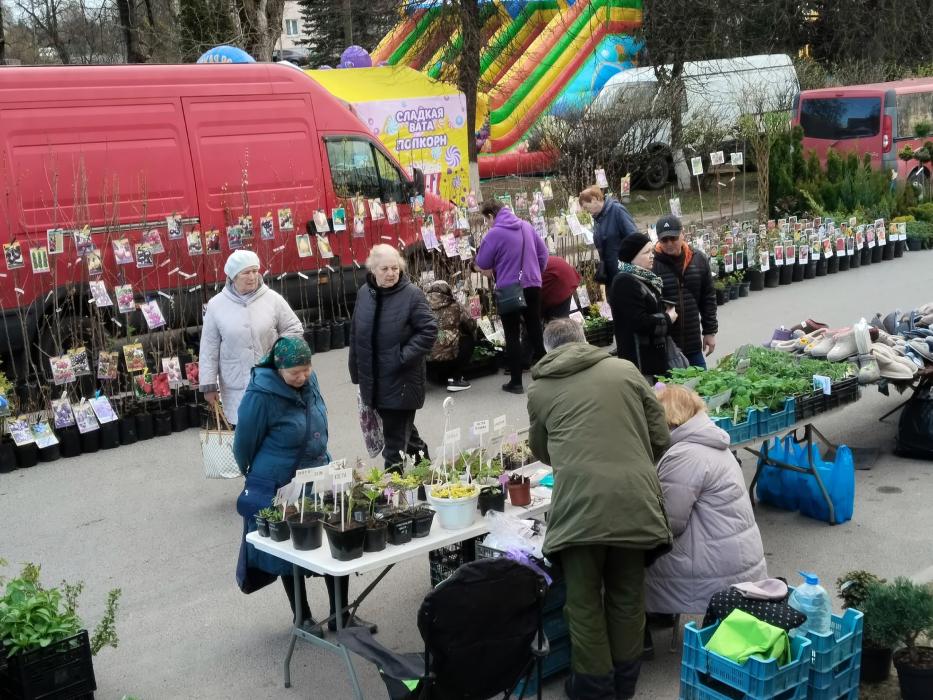 Ярмарка в Стругах Красных