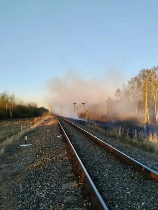Крупный ландшафтный пожар под Псковом ликвидировали сотрудники МЧС и добровольцы «Дружины»