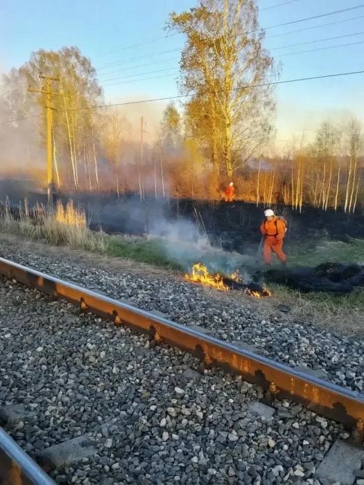 Крупный ландшафтный пожар под Псковом ликвидировали сотрудники МЧС и добровольцы «Дружины»